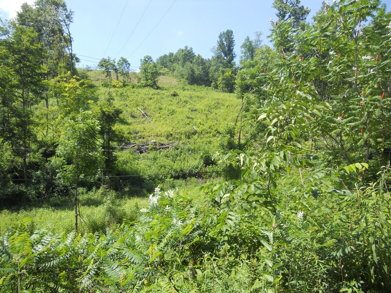 More Photos Of 595 Wades Run Rd, Morgantown Land For Sale