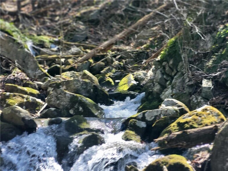 More Photos Of 8 Henry Rd, Cragsmoor Land For Sale