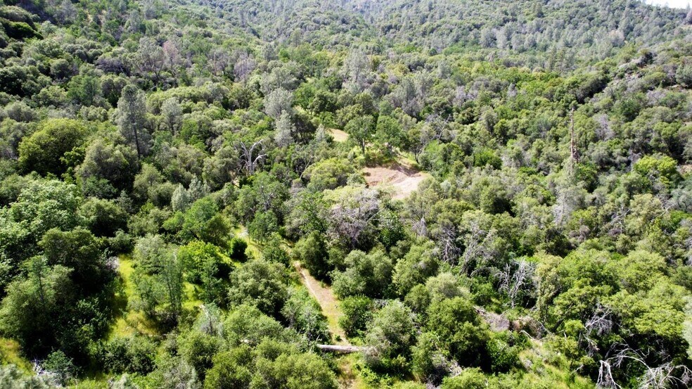 More Photos Of 2 Road 200, Coarsegold Land For Sale