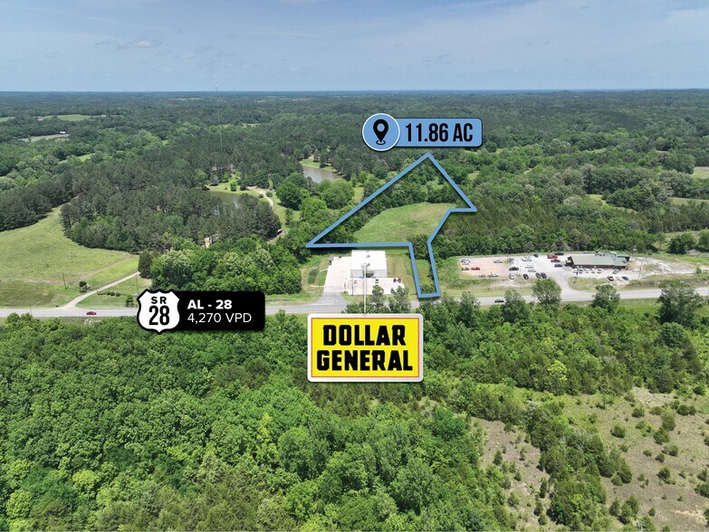 More Photos Of 460 Alabama 28, Livingston Land For Sale