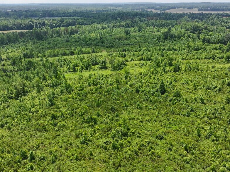 More Photos Of 0 State Route 22a, Enville Land For Sale