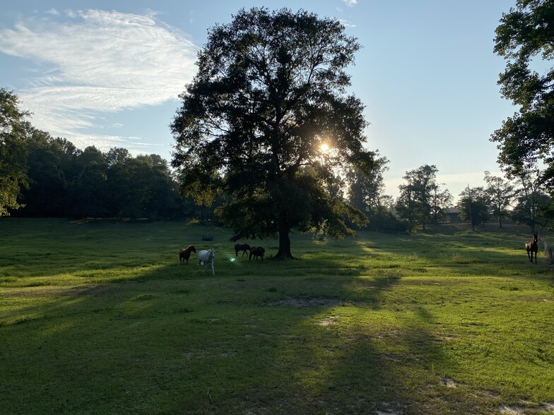 Primary Photo Of 8182 County Road 53, Auburn Land For Sale