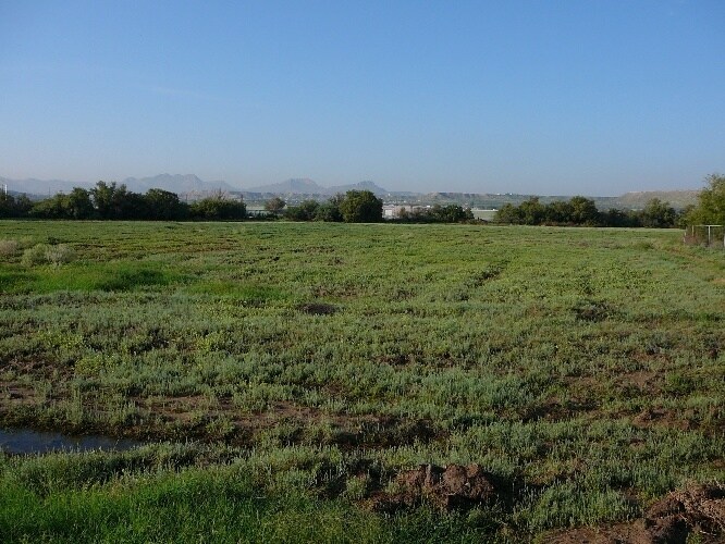 More Photos Of 1705 Appaloosa Dr, Sunland Park Service For Sale