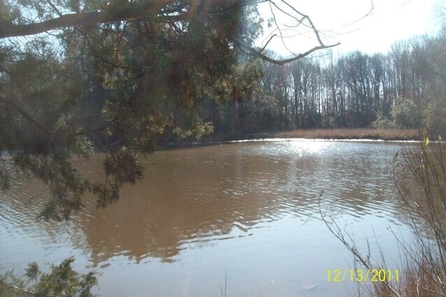 More Photos Of Dahlgren, Dahlgren Land For Sale