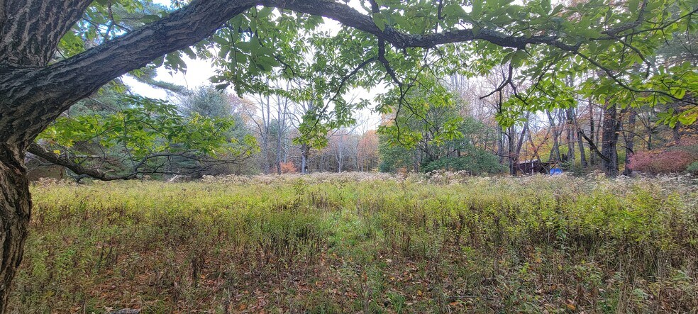 More Photos Of 1195 State Route 17B, Bethel Land For Sale