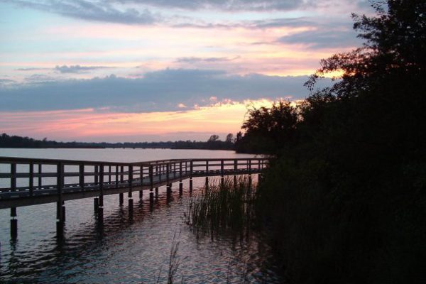 More Photos Of 75 Ormond St N, Thorold Land For Sale