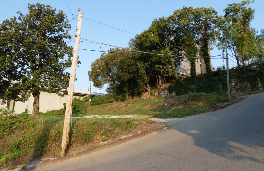 More Photos Of 1015 Locust St, Knoxville Land For Sale