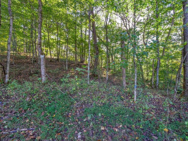 More Photos Of 0 Cox Hollow Rd, Dover Land For Sale