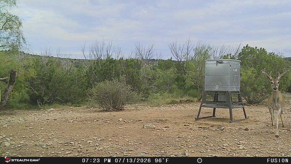 More Photos Of 0000 Clegg Rd, Ozona Land For Sale