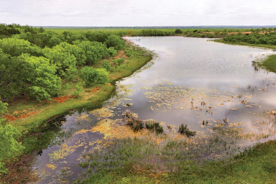 More Photos Of 450 County Road 417, Goldthwaite Land For Sale