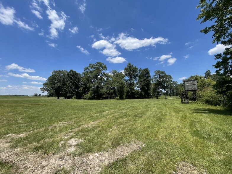More Photos Of Raspberry Street & 69 hwy, Gallion Land For Sale