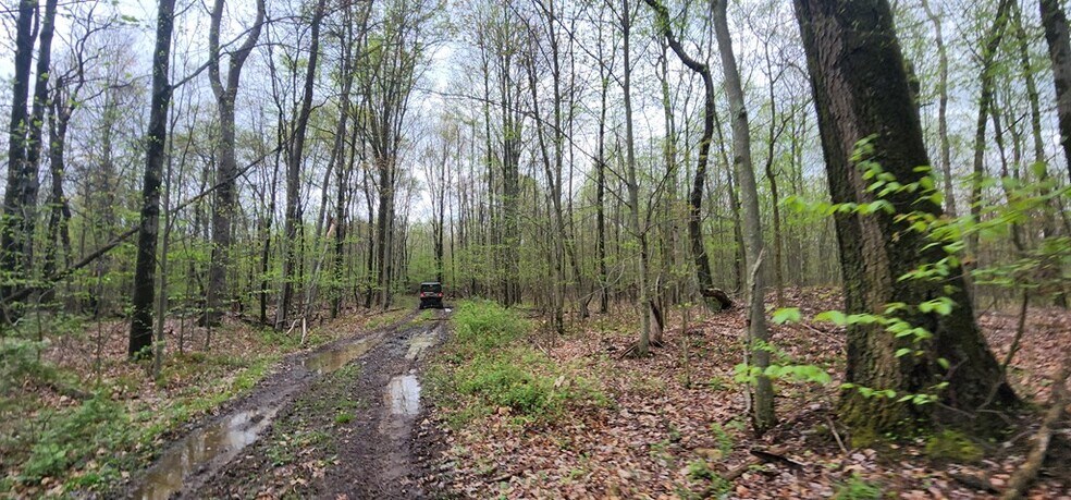 More Photos Of 0 Lower Mudlic rd, Mayport Land For Sale