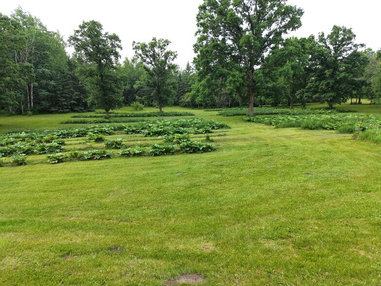 More Photos Of 35295 State 64, Laporte Winery Vineyard For Sale