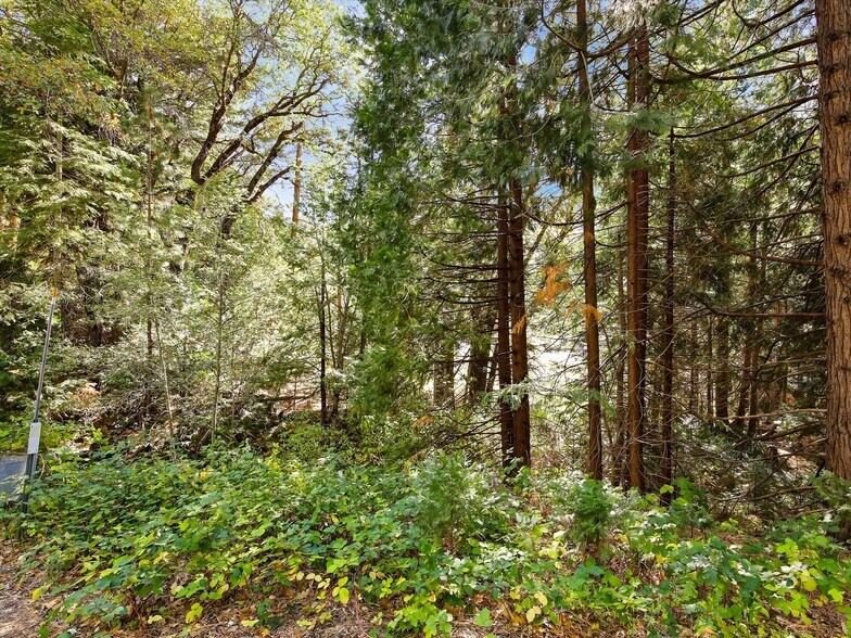 More Photos Of 13651 US Hwy 50, Kyburz Land For Sale