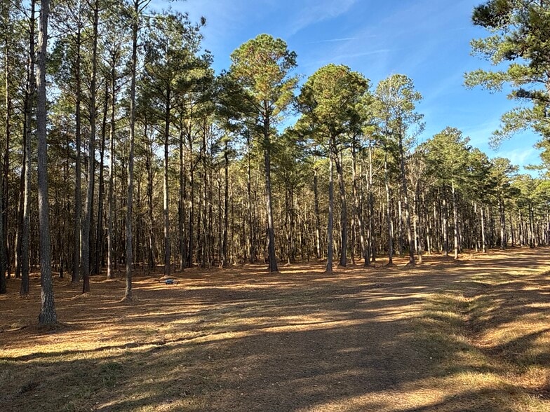 More Photos Of 0 Norfleet Shores Road, Belhaven Land For Sale