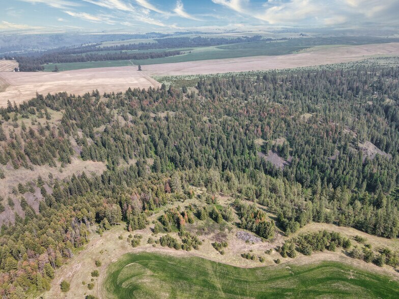 More Photos Of 45XXX Devore Rd, Davenport Land For Sale