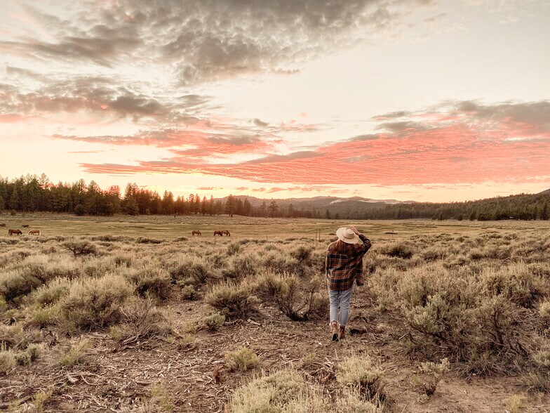 More Photos Of 34300 Holcomb Valley Rd, Fawnskin Land For Sale