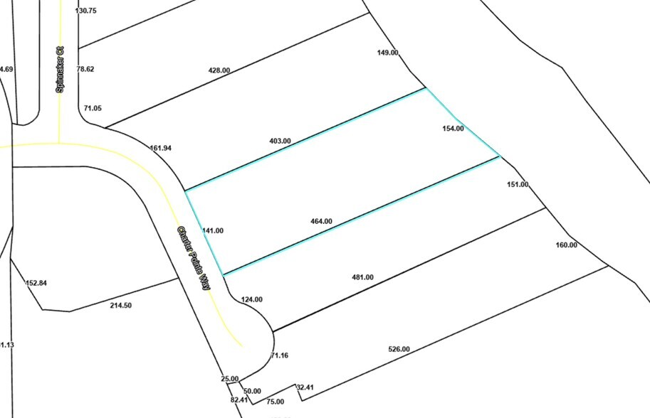 More Photos Of 2143 Charter Pointe Way, Middleburg Land For Sale