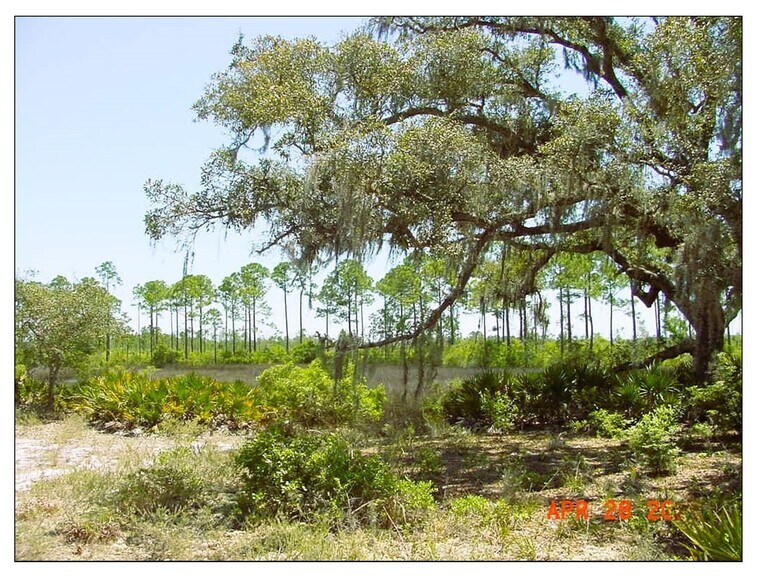 More Photos Of 370 Moonlight Bay Dr, Panama City Beach Land For Sale