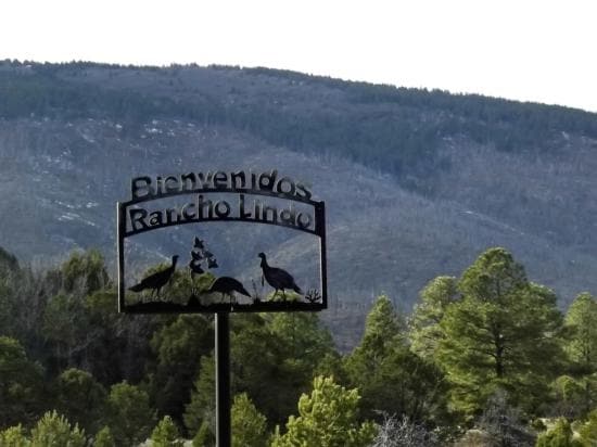 Primary Photo Of 248 Los Penetos Rd, Torreon Land For Sale