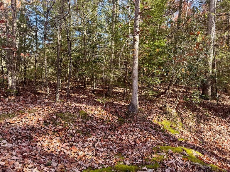 More Photos Of 58 Martin Hl, Nallen Land For Sale