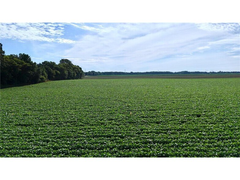 More Photos Of TBD County Road 7, Saint Augusta Land For Sale