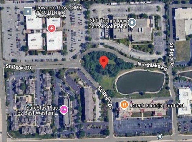 More Photos Of 250 St Regis Dr, Lombard Land For Sale