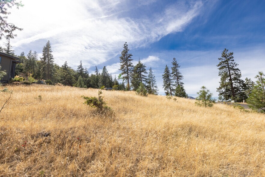 More Photos Of 371 Ponderosa Place, Mosier Land For Sale