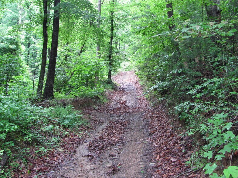 More Photos Of Ridge Rd, Ferguson Land For Sale