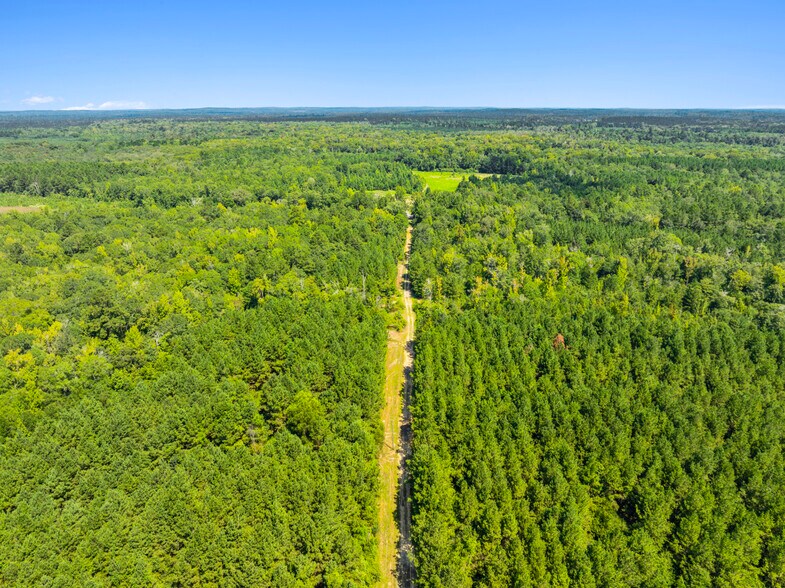 More Photos Of 7471 Highway 155, Saline Land For Sale