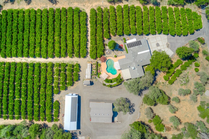 More Photos Of 78 Circle View Dr, Oroville Winery Vineyard For Sale