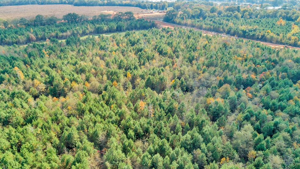 More Photos Of Oak Grove Rd, Summerall, Aiken Land For Lease