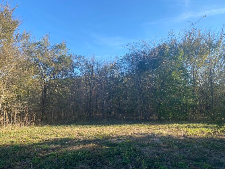 More Photos Of 000 Meadow View Ln, Flint Land For Sale