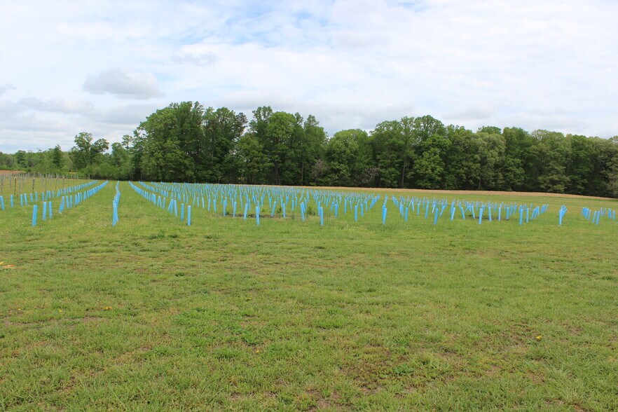 More Photos Of 495 Meadow Landing Ln, Caret Winery Vineyard For Sale