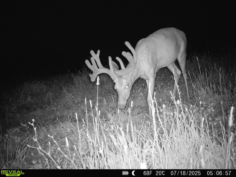 More Photos Of Highway D (77.2+/- Acres) Tract 1, Eolia Land For Sale