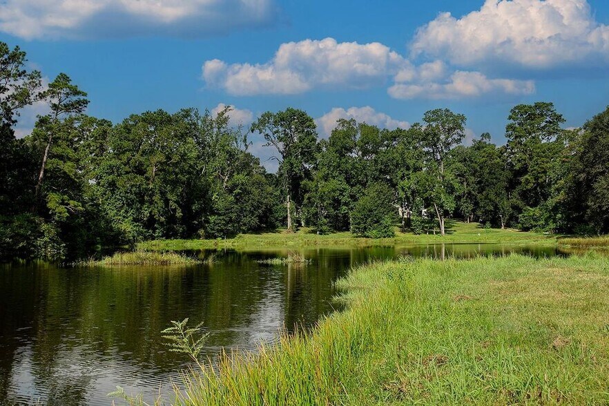 More Photos Of 25126 Gosling Rd, Spring Land For Sale