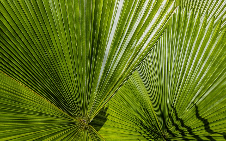 More Photos Of 27-2760 Hawaii Belt Rd, Pepeekeo Land For Sale