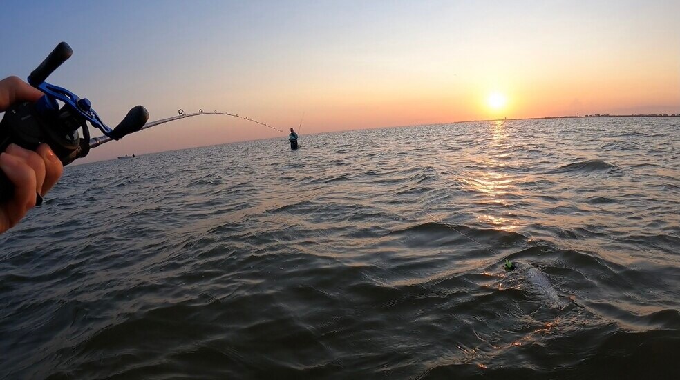 More Photos Of 11625 Zingelmann Rd, Galveston Land For Sale