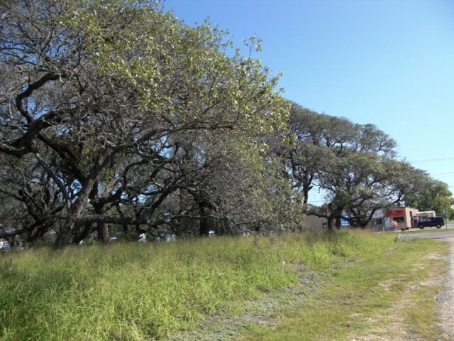 More Photos Of 3401-15 Hwy 35 N, Fulton Land For Sale