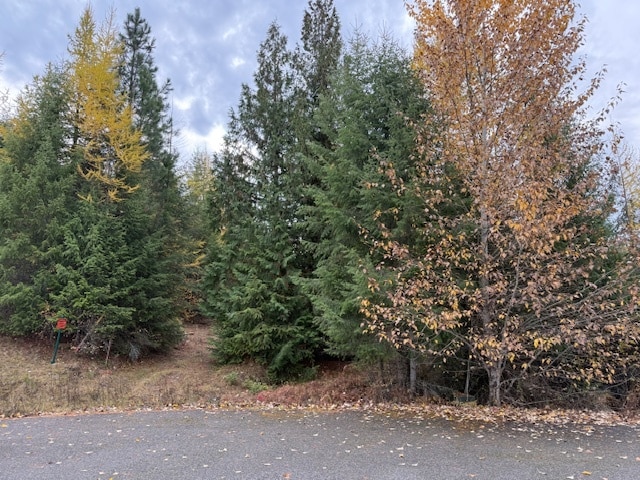 More Photos Of TBD Loch Mira Heights Road, Cocolalla Land For Sale