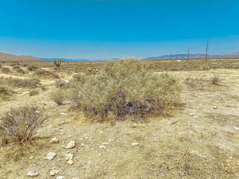 More Photos Of Favorito, Rosamond Land For Sale