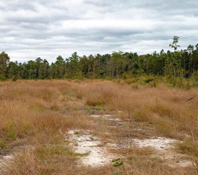 More Photos Of County Road 133, Willacoochee Land For Sale