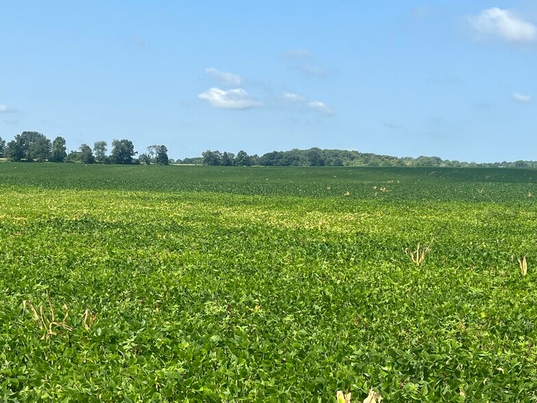 More Photos Of 294 S 200 W, Valparaiso Land For Sale