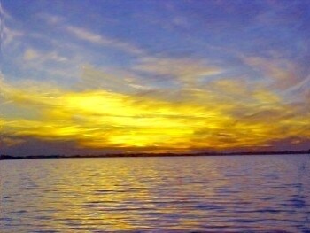 More Photos Of Chopawamsic Island, Quantico Land For Sale