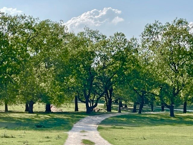 More Photos Of 646 Victor Eckhardt Rd, Fredericksburg Land For Sale