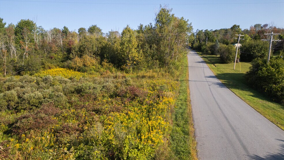 More Photos Of 219 Mudge rd, Delanson Land For Sale