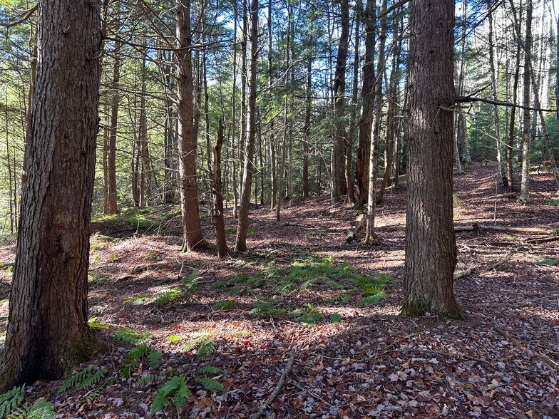 More Photos Of , Killington Land For Sale