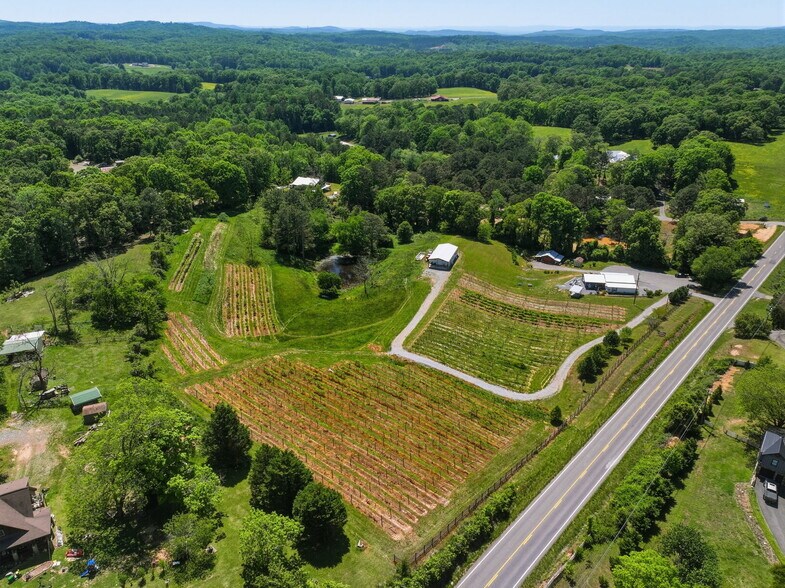 More Photos Of 2317 GA-382, Ellijay Winery Vineyard For Sale