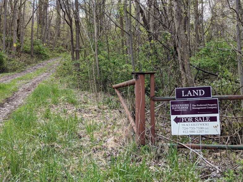 More Photos Of 266 Lucky Ln, Dawson Land For Sale