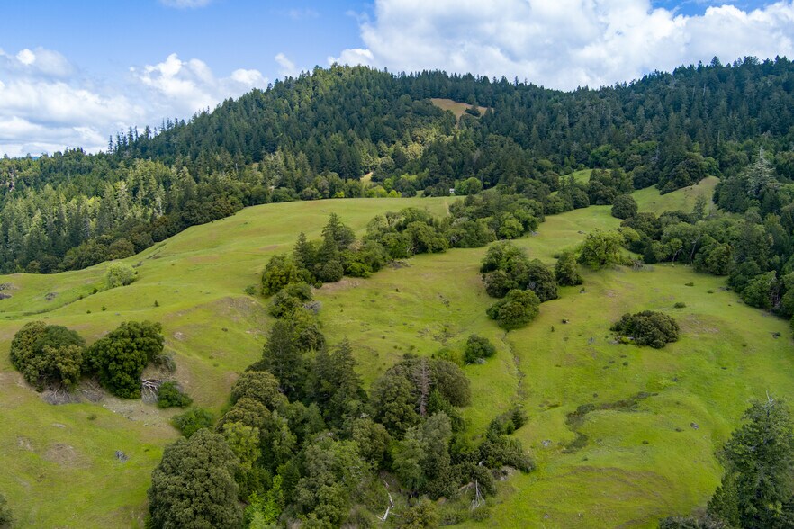 More Photos Of 00 Reed Mountain Ranch Road, Garberville Land For Sale